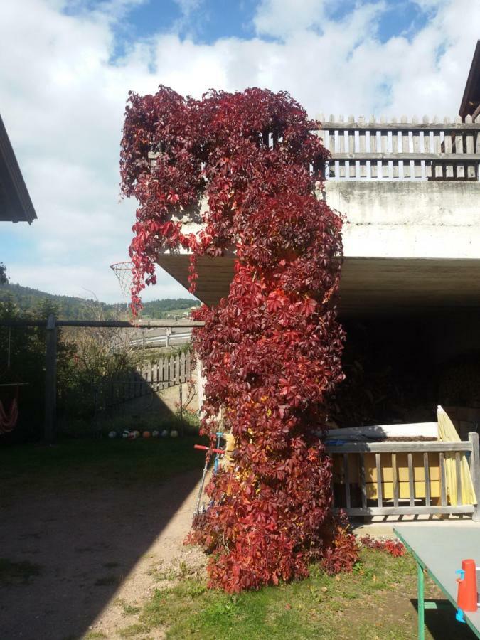 Villa Pitterle Hof à Meltina Extérieur photo